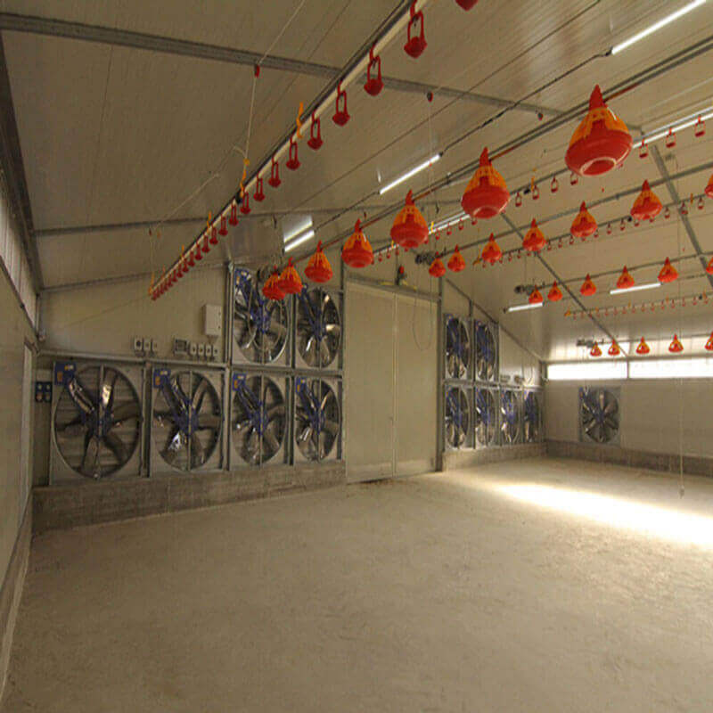 بهترین هواکش سالن مرغداری